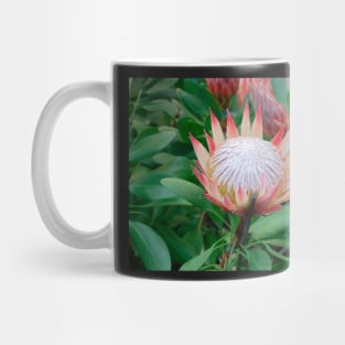 Protea Cynaroides Flower Mug